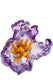 Sticky Image