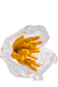 Sticky Image