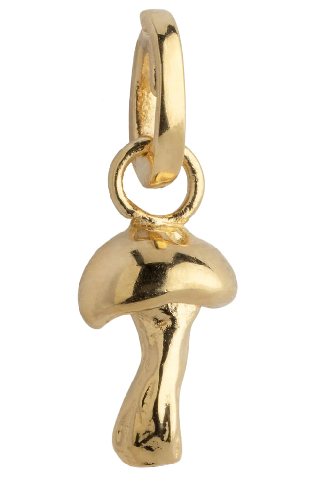 Adventurous Mushroom Charm