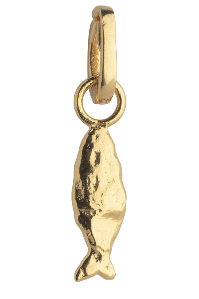 Flowing Fish Charm