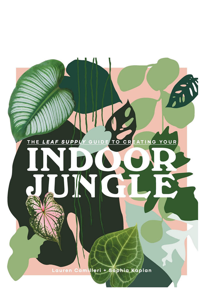 The Leaf Supply Guide To Creating Your Indoor Jungle By Lauren Camilleri And Sophia Kaplan